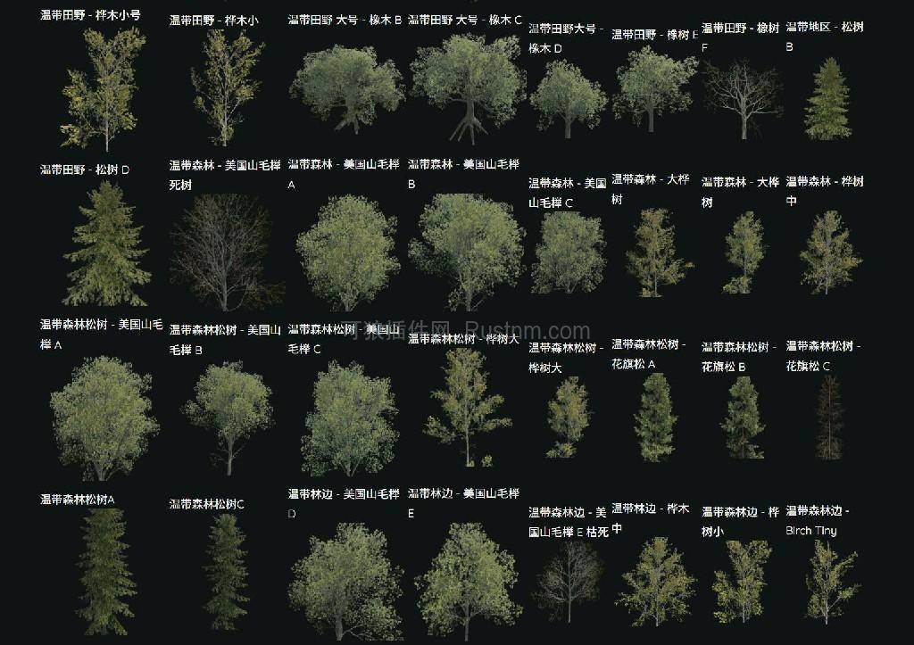 图片[5]-SpawnEverything – 生成一切实体 v1.4.0-Rust可狼插件网 | Rustnm - Rust插件网