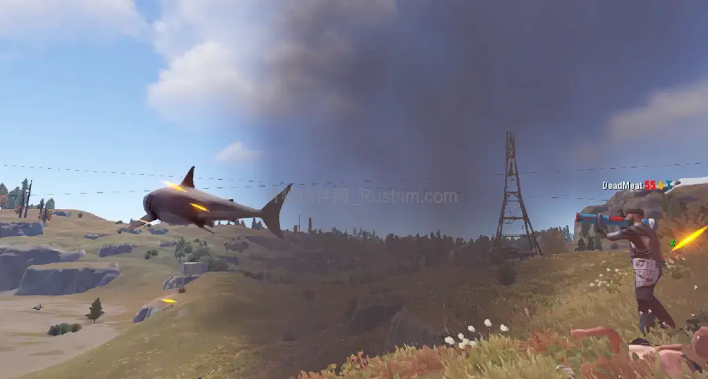 图片[1]-SharkLauncher – 鲨鱼发射器 v2.0.1-Rust可狼插件网 | Rustnm - Rust插件网